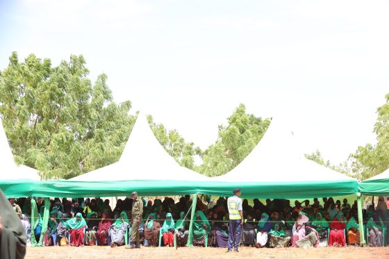 The Role of the Municipal Board in Urban Governance