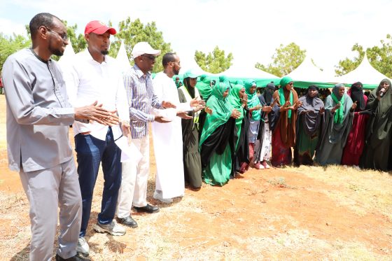 Promoting Compliance and Order in the Municipality